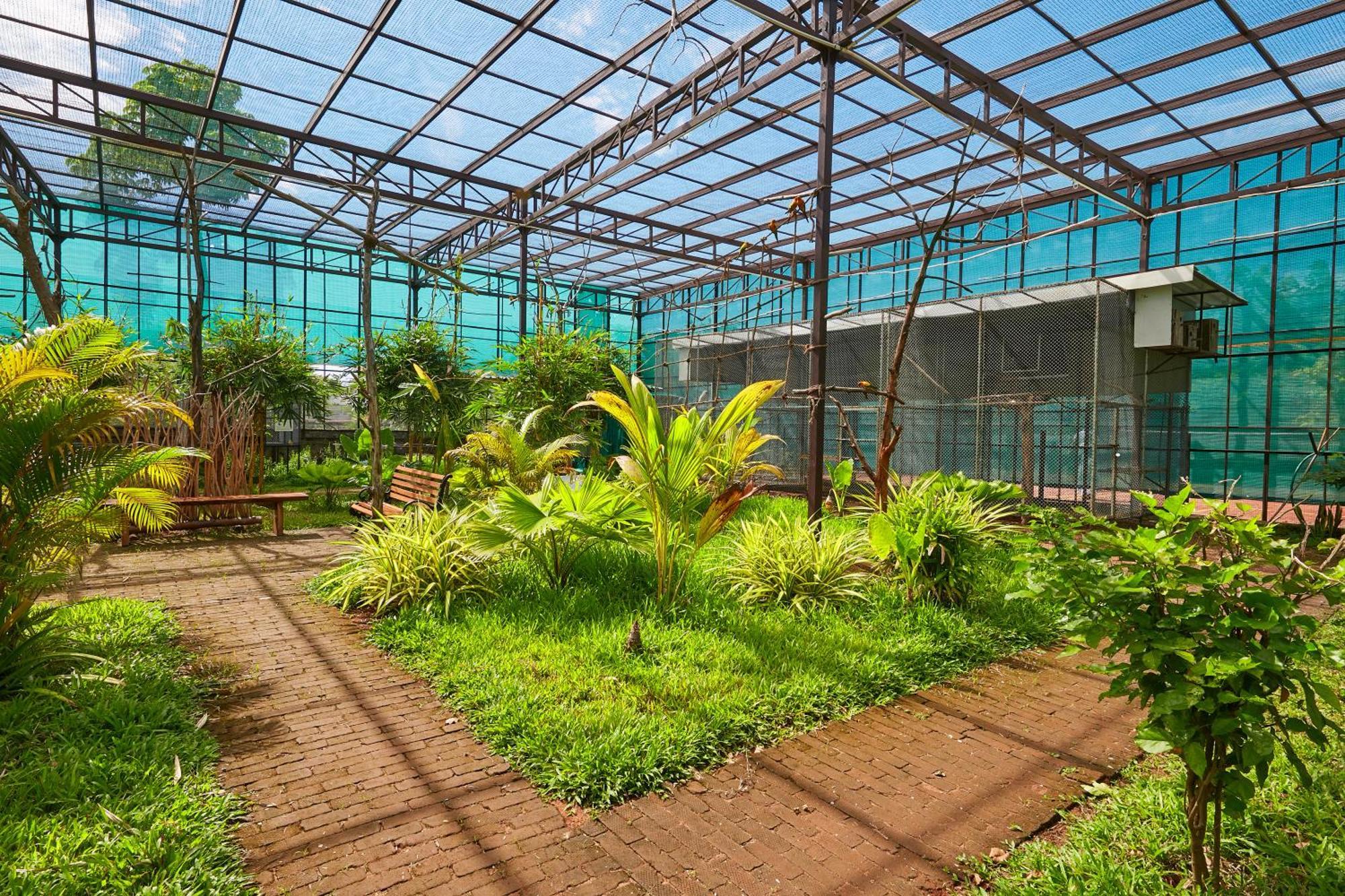โพธิ วูด รีสอร์ต Villa มหาพลีปุรัม ภายนอก รูปภาพ